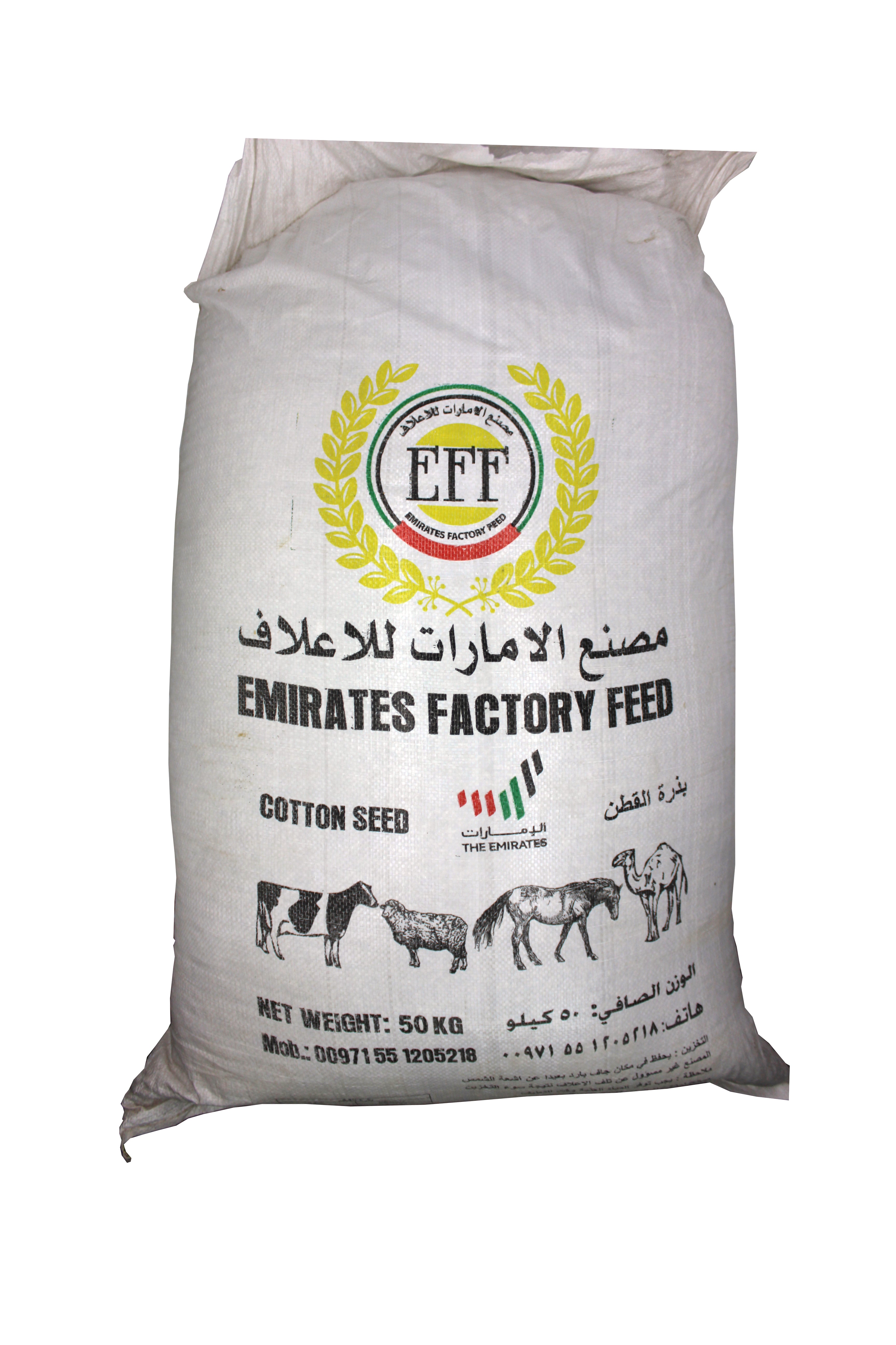 Whole Cotton Seed