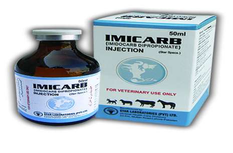 Imicarb injection 100 ml