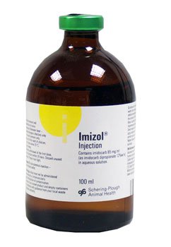 Imizol