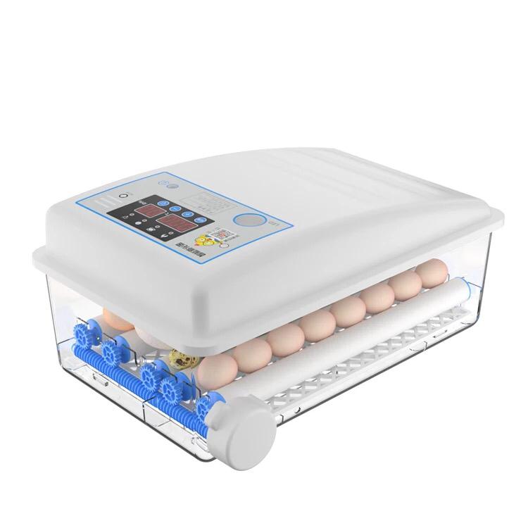 Incubator 36 eggs China