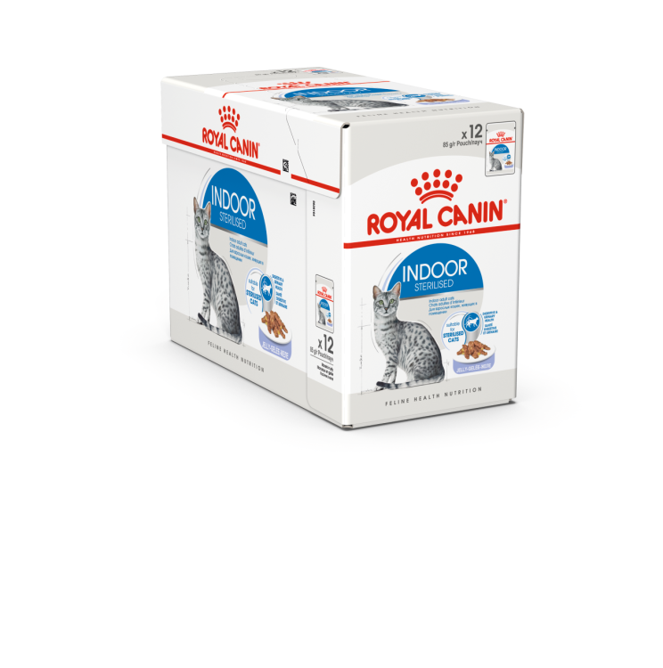 Royal Canin Wet Food - Indoor Jelly (12 X 85G Pouches)