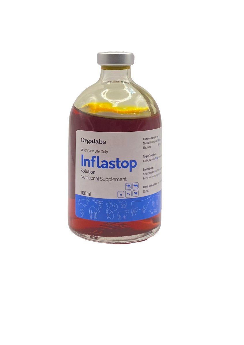 Inflastop anti-inflammatory 100ml