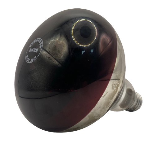 Infrared Light Lamp 200 WT