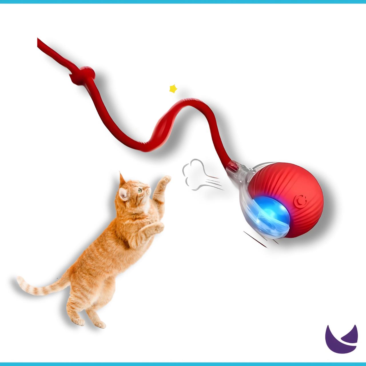 Interactive Cat Ball Toy - Automatic Smart Toy For Cats