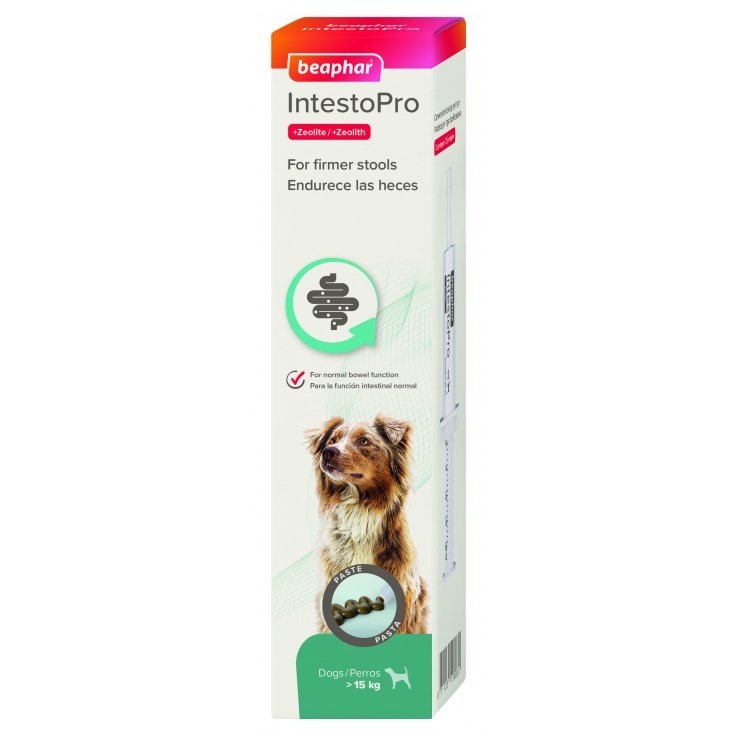 INTESTOPRO ANTI DIARRHEA PASTE SYRINGE LARGE DOG 2 X 20ML