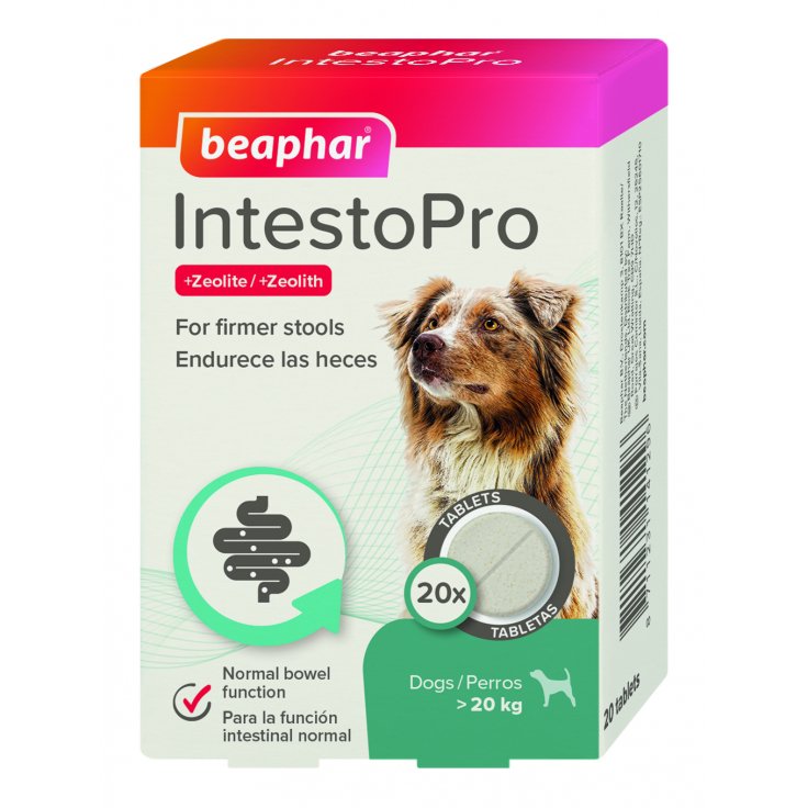 INTESTOPRO ANTI DIARRHEA TABLET LARGE DOG 20 TAB