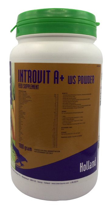 Introvit A+ WS powder 1kg