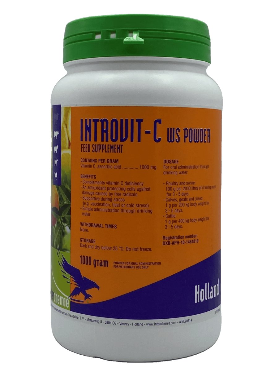 INTROVIT-C 1kg
