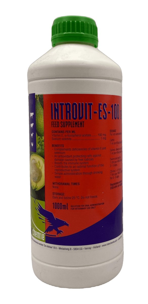 INTROVIT-ES-100 oral 1Liter