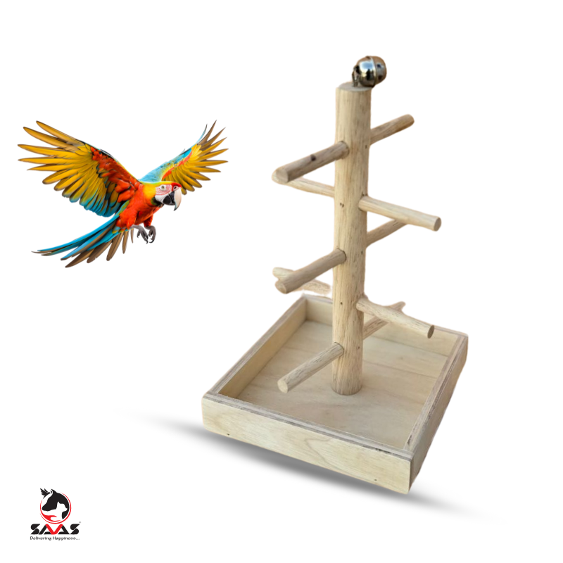 Bird Toy