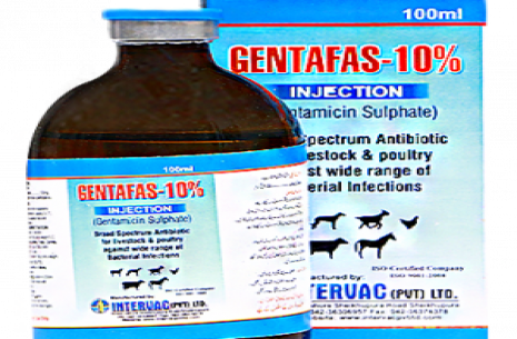 Gentafas-10% Inj