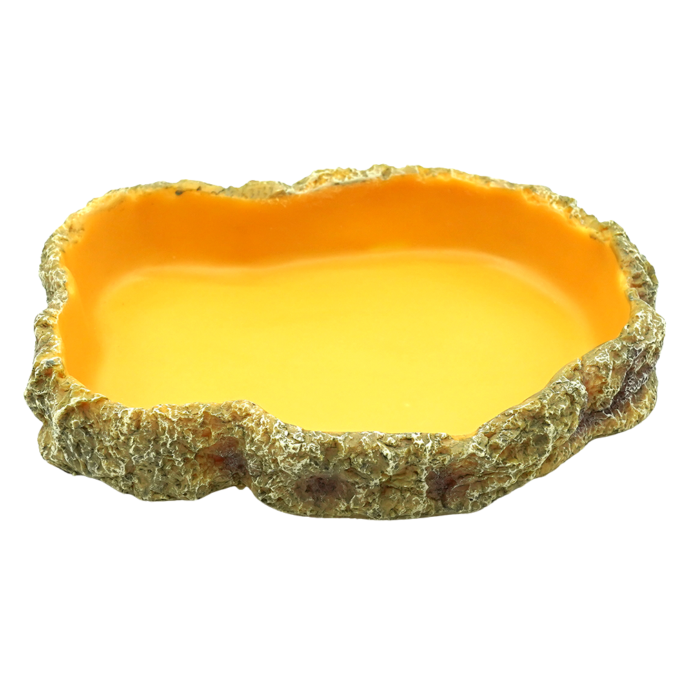 Wacool Reptile Food Dish L