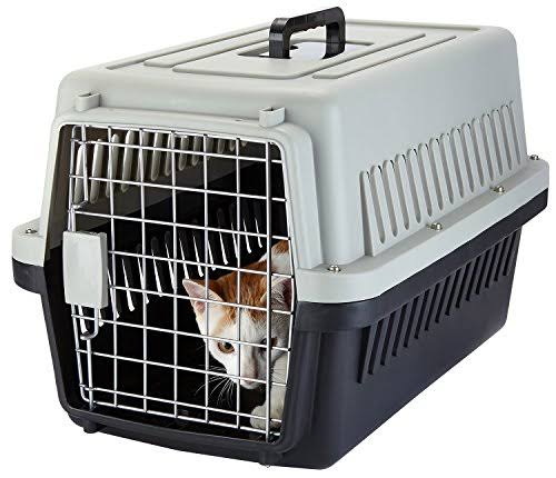 Jet Box With Tray Imported