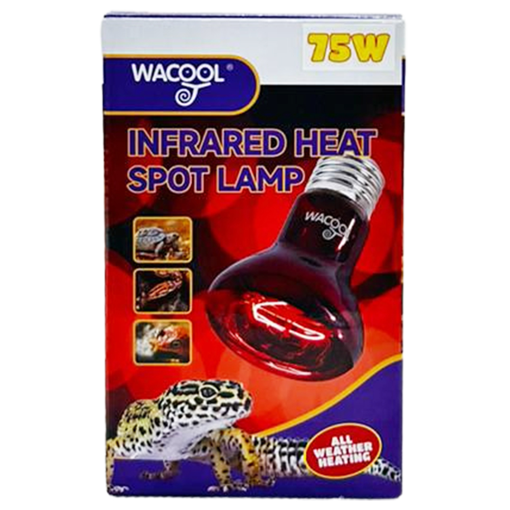 Wacool Infrared Heat Spot Lamp 75W