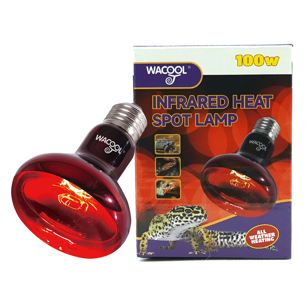 Wacool Infrared Heat Spot Lamp 100W