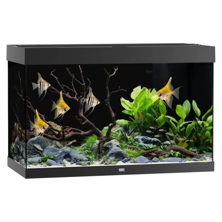 Rio 290 LED