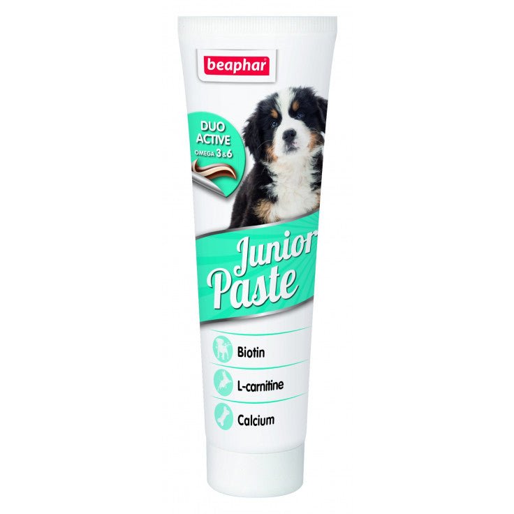 JUNIOR PASTE - DOG / 100 G