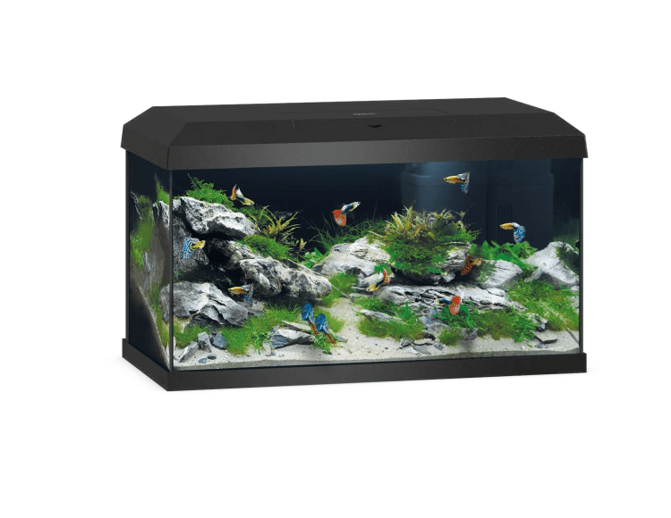 Juwel Primo 60 LED 2.0 Black