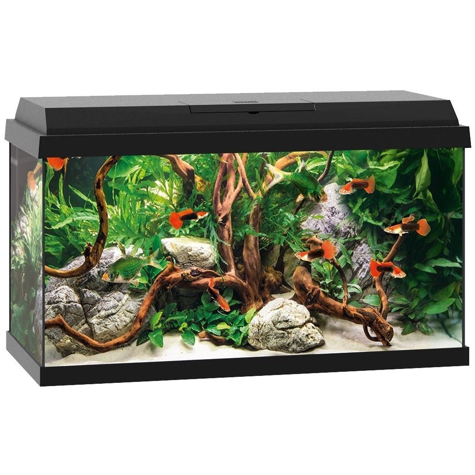 JUWEL Primo 60 LED - Black