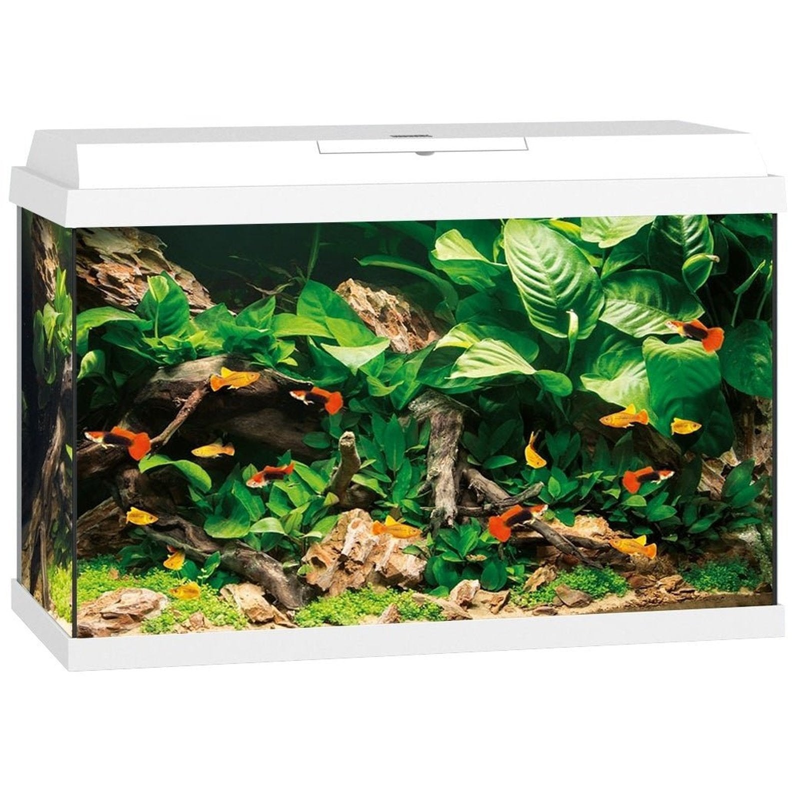 JUWEL Primo 70 LED - White