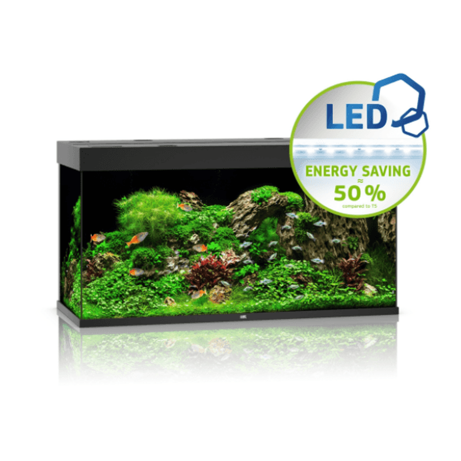 JUWEL RIO 350 LED - Black