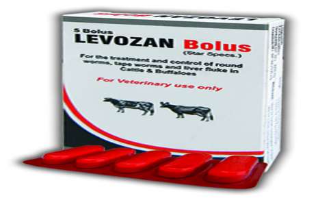 Levozan Bolus