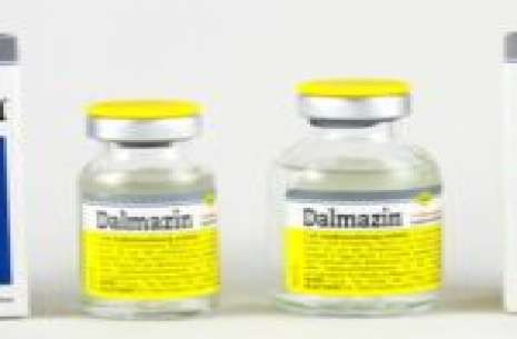 Dalmazin Injection 2 ml