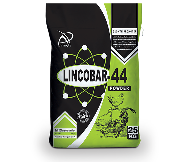 LINCOBAR-44