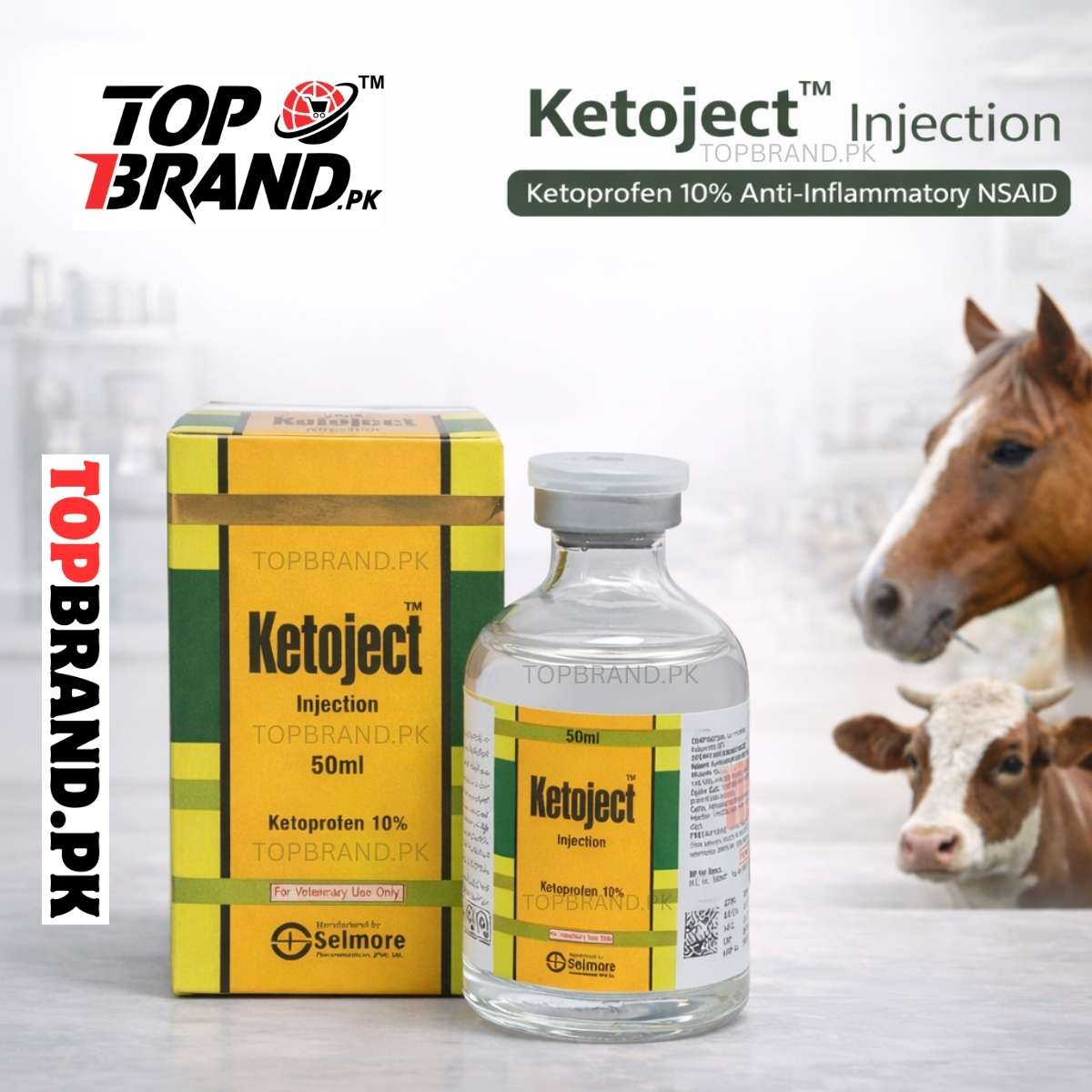 Ketoject (Ketoprofen 10% 50ml