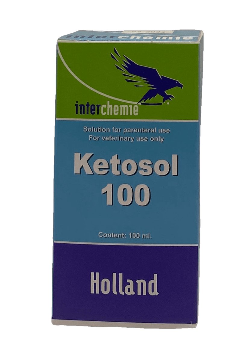 Ketosol 100 100 ml