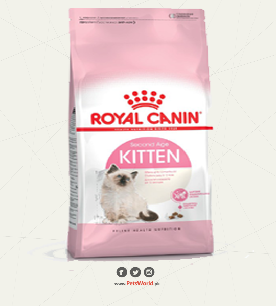 Royal Canin second age kitten Food