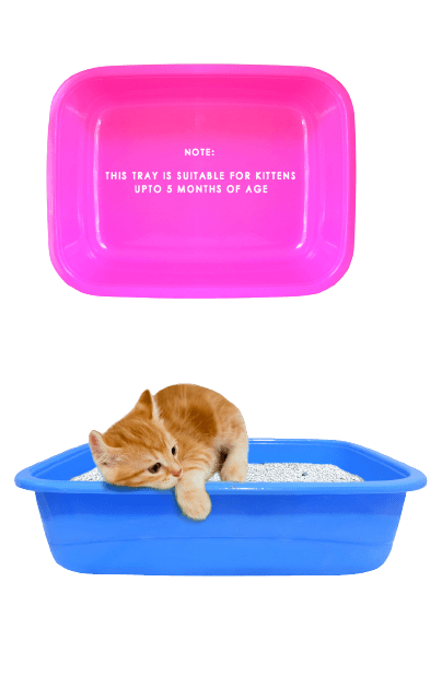 Kitten Litter Tray