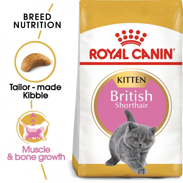 ROYAL CANIN Kitten British Shorthair (2kgs)