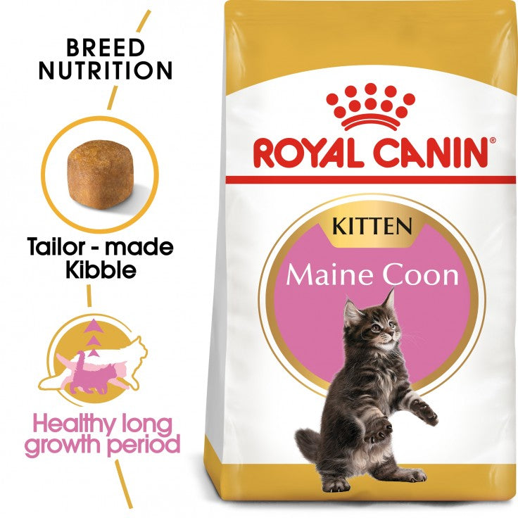 ROYAL CANIN Kitten Maine Coon (2kgs)