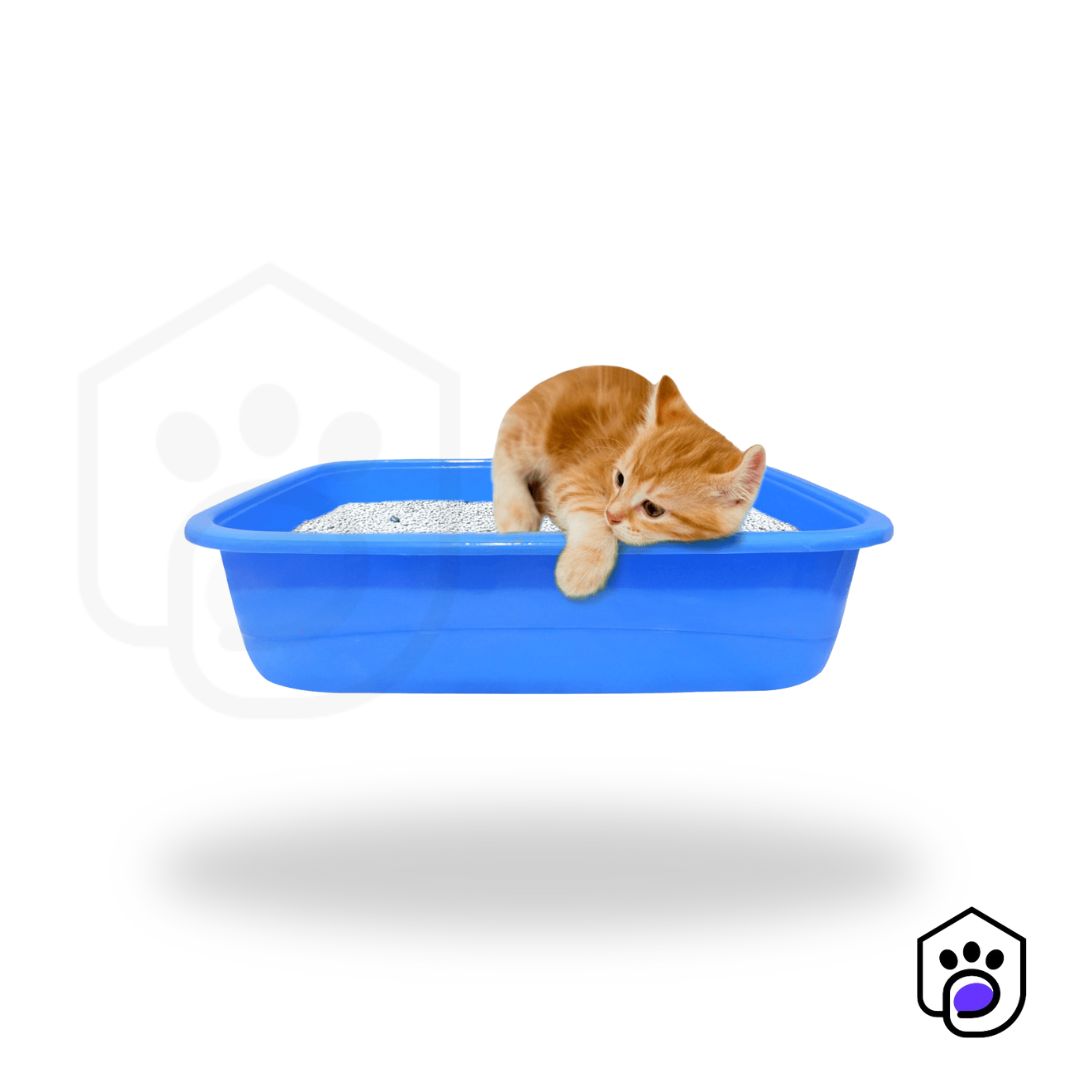 Kittens Litter Tray