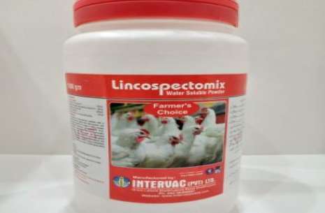 Lincospectomix water soluble 500 gm