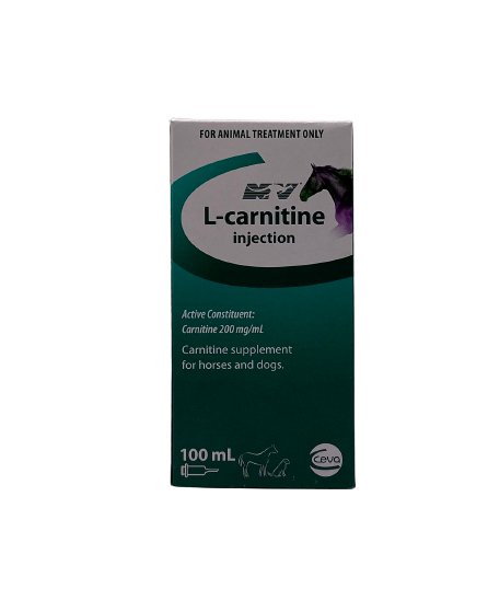 L-carnitine 100ml for horses and dogs