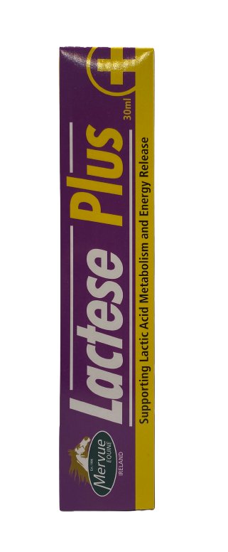 Lactese Plus