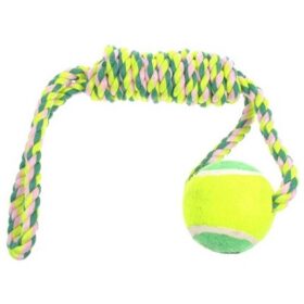 Squeaky Sport Ball With Rope