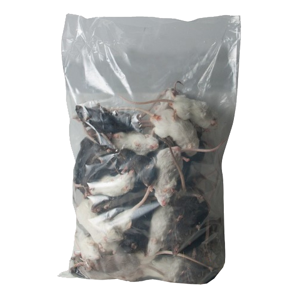 Frozen Large Mice 25-30g - 25pcs