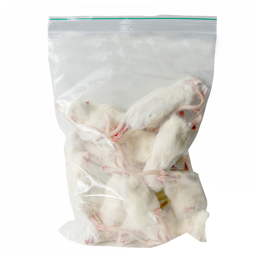Frozen Large Weaner Rats 60-90g - 5pcs