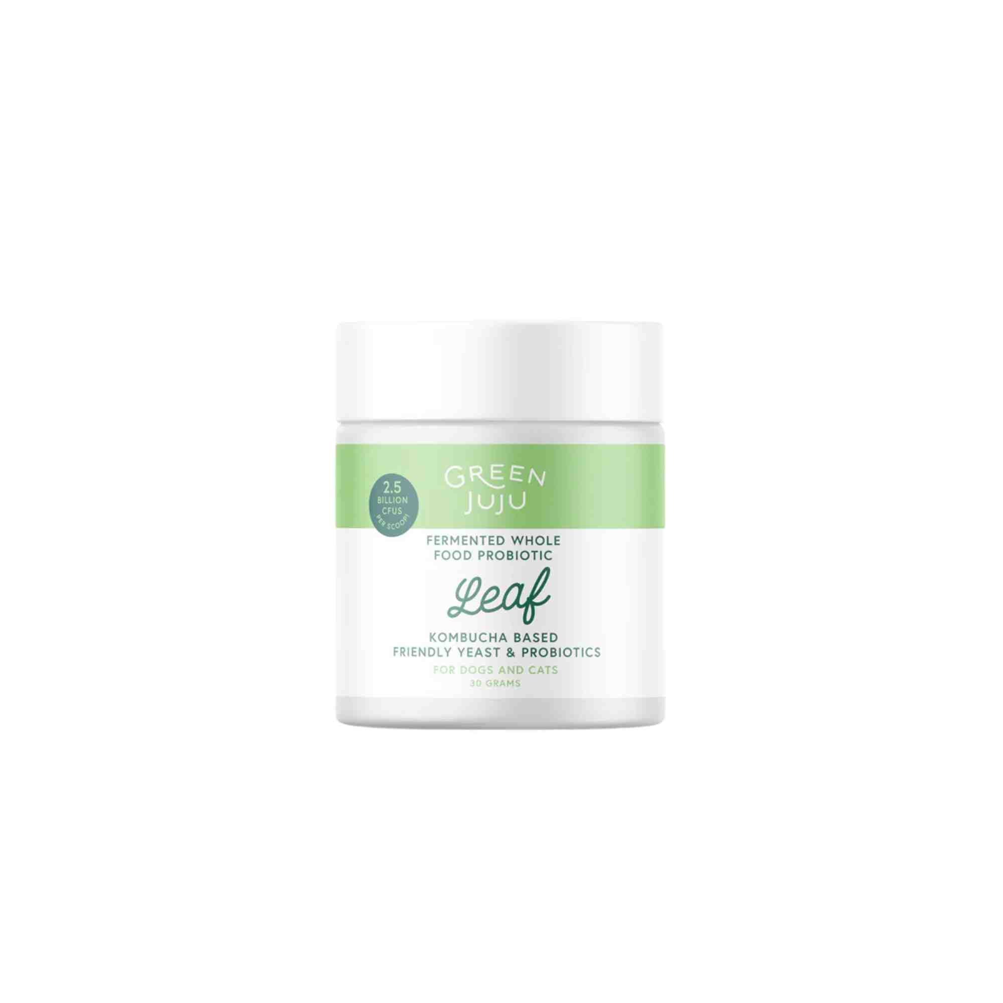 LEAF - Kombucha-Based Probiotic