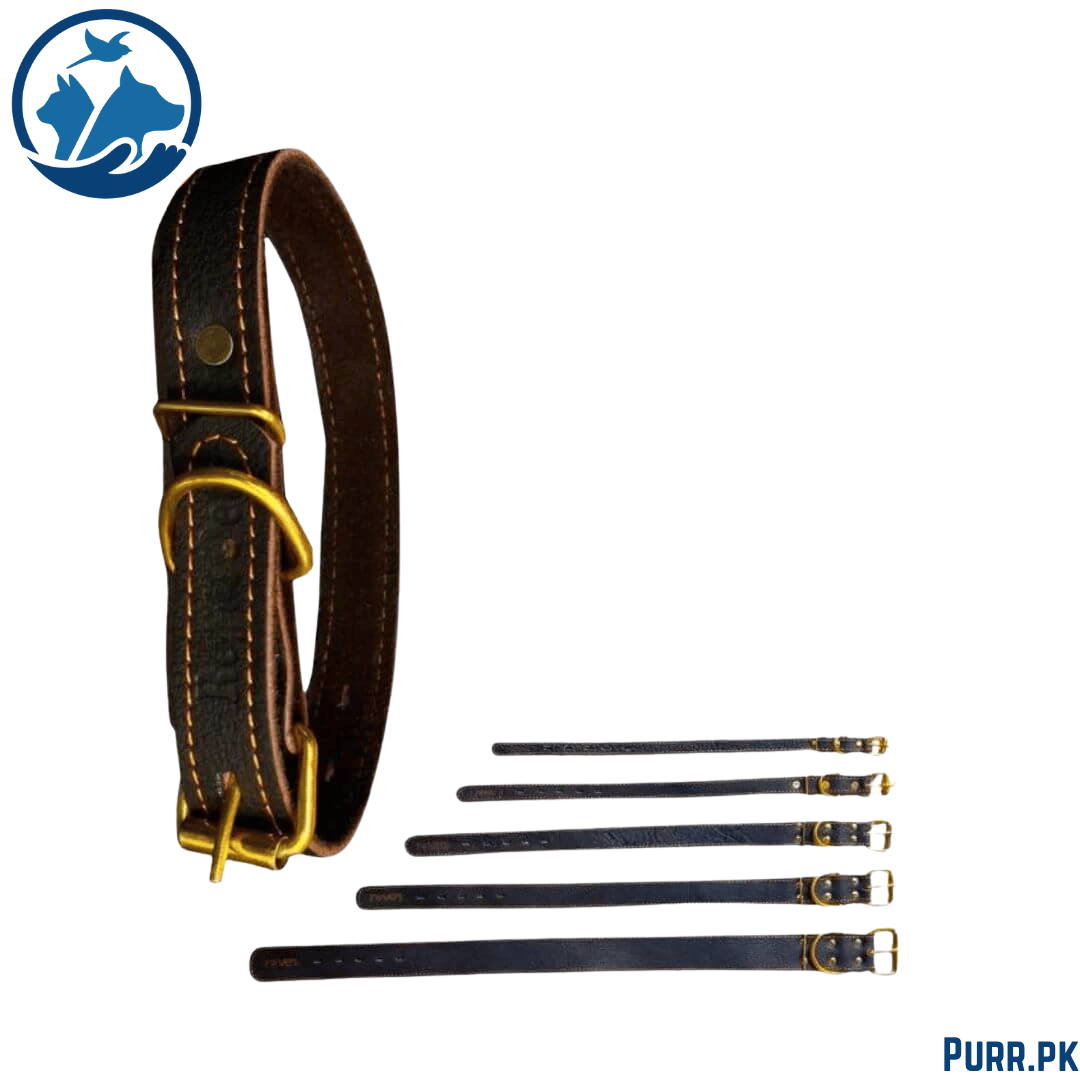 Leather Dog Collar