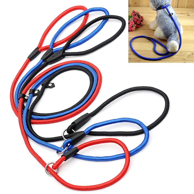 Leashes For Pug Breed Special