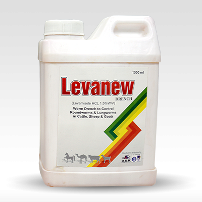 LEVANEW
