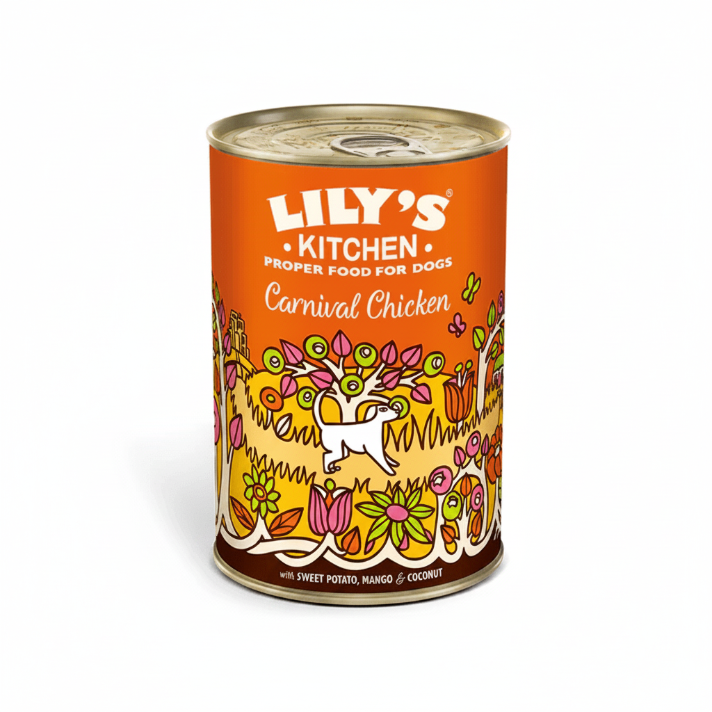 Lily's Kitchen Dog Carnival Chicken Wet Food (400g)