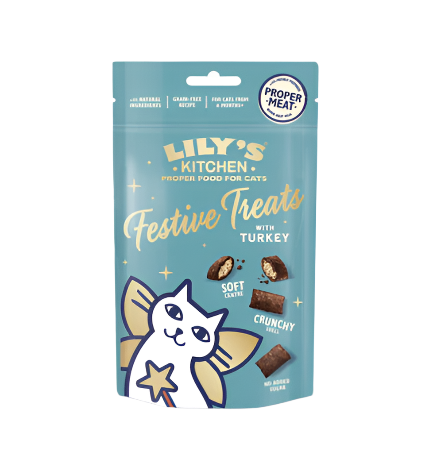 Lily's Kitchen Festive Treats with Turkey for Cats - 60g