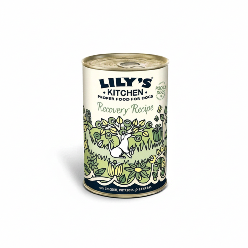 Lily's Kitchen Recovery Recipe Wet Dog Food (400g)