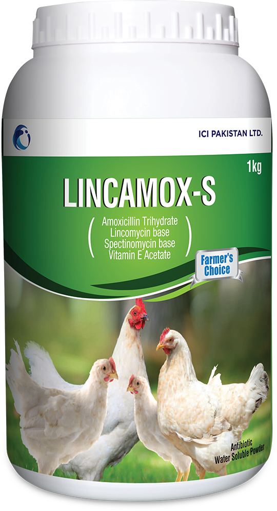 Lincamox S
