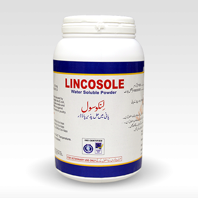 LINCOSOLE